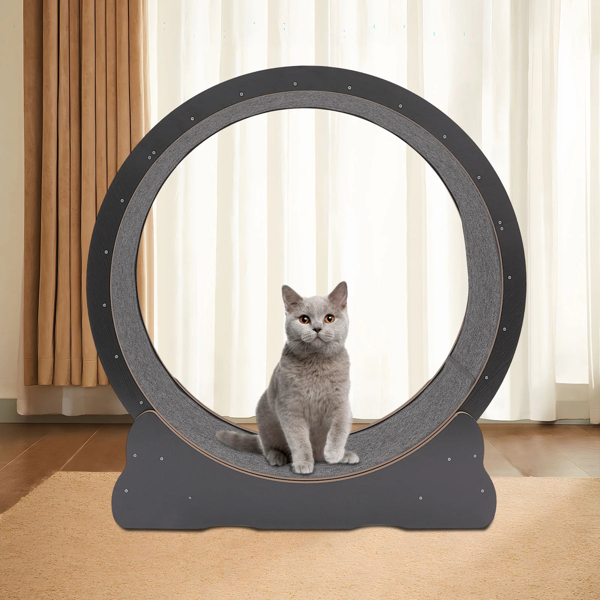 Cat Exercise Wheel 3.3ft Inner Diameter, Foldable Large Cat Treadmill for Indoor Cats Holds 110lbs 8 Silent Rollers